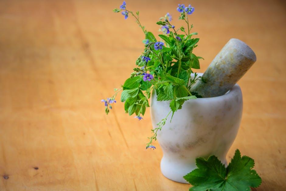 Natural Ingredients​ that Promote Circulation