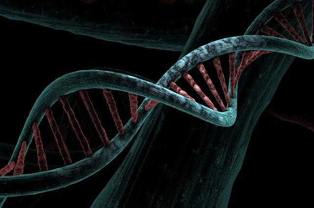 Exploring ‍the Science Behind Hyaluronic​ Acid and⁣ Joint Health