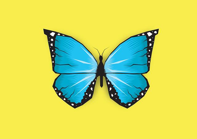 Design and Usability: The Perfect Balance of Fashion and Function