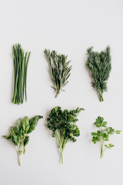 The Power ⁤of Plant-Based Ingredients for Skin Health