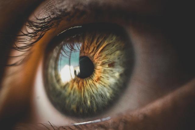 Elevate ‌Your Smokey Eye​ Game with⁣ Opulent Color ‍Combinations