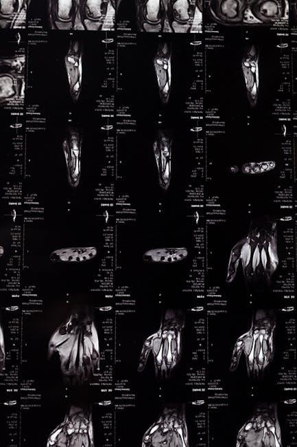 Understanding the Importance‌ of Bone Density in Postmenopausal Health