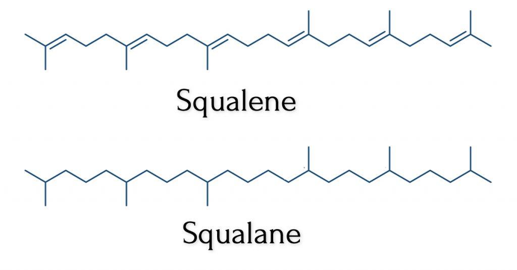the Power of Squalane: Unpacking Hydration ⁢Benefits‌ for⁣ Your Skin