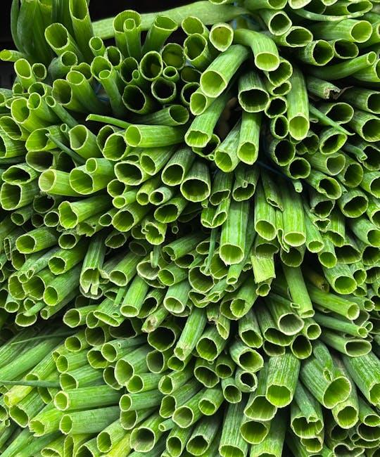 Understanding Plant Sterols and Their Role in Hormonal Balance