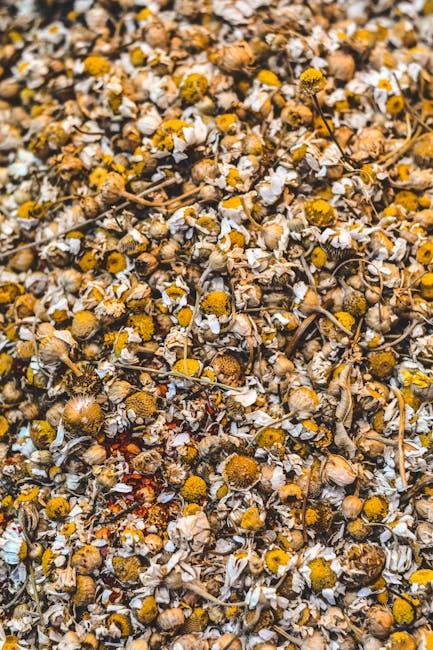 Harnessing Nature: ⁣Botanical ingredients that ⁢Boost Anti-Aging Results