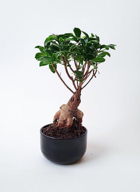 Understanding the Origins and Adaptogenic Properties⁣ of Panax Ginseng ​and Tongkat Ali