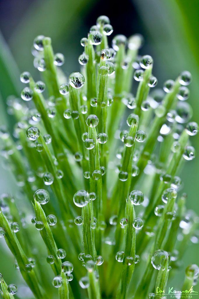 How⁢ to Incorporate Dew Drops for a dewy Finish