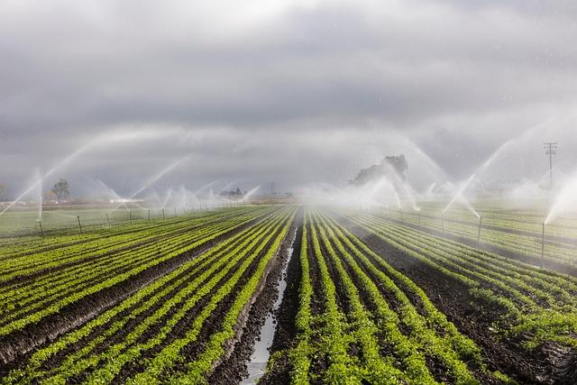 Maximizing Water Efficiency with Smart Irrigation Practices