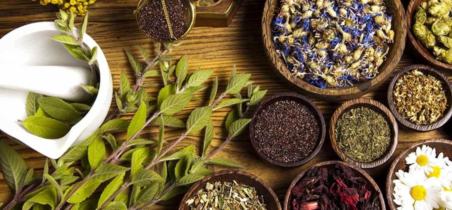 exploring the Role of‍ Natural Ingredients in Blood Sugar‌ Control